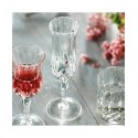 Crystal Champagne set of 6